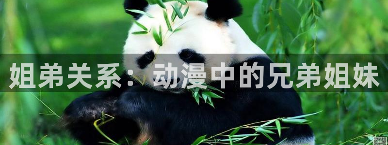 #omofun：姐弟关系：动漫中的兄弟姐妹