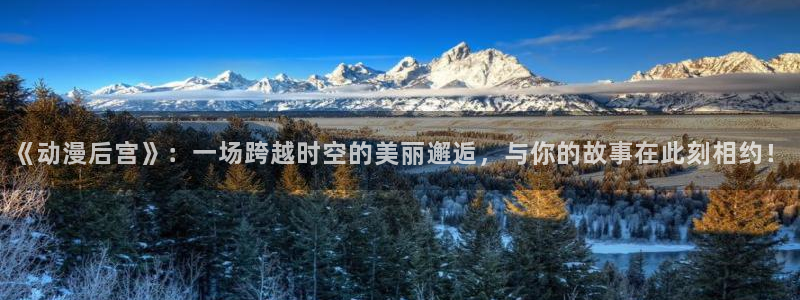 omofun官网地址下载：《动漫后宫》：一场跨越时空的美丽邂逅，与你的故事在此刻相约！