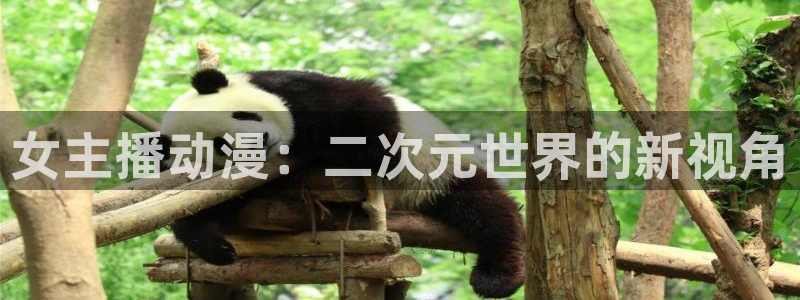 omofun官网网页版免费进入：女主播动漫：二次元世界的新视角