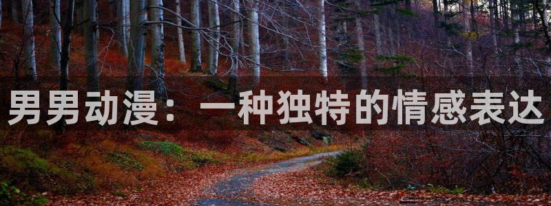 omofun动漫在线看：男男动漫：一种独特的情感表达