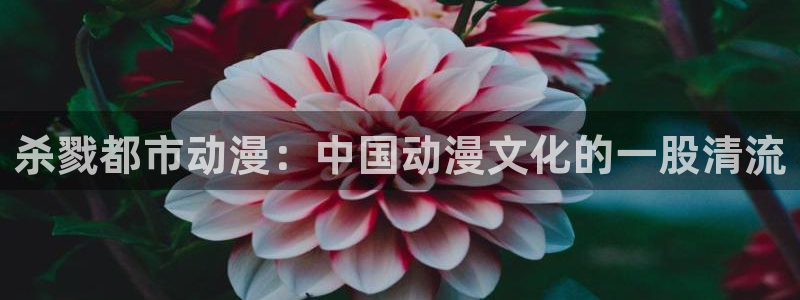 omofun动漫官网在线看：杀戮都市动漫：中国动漫文化的一股清流