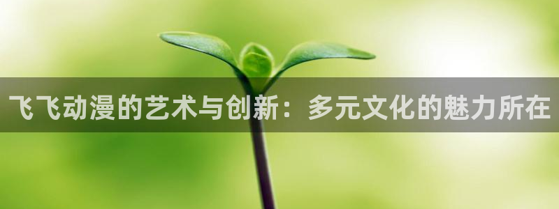 omofun动漫官网app下载：飞飞动漫的艺术与创新：多元文化的魅力所在