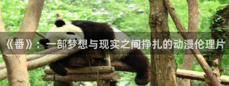 omofun在线：《番》：一部梦想与现实之间挣扎的动漫伦理片