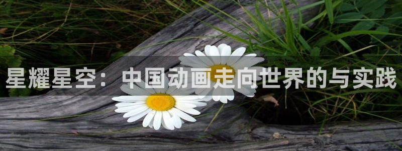 omofun动漫网页版：星耀星空：中国动画走向世界的与实践